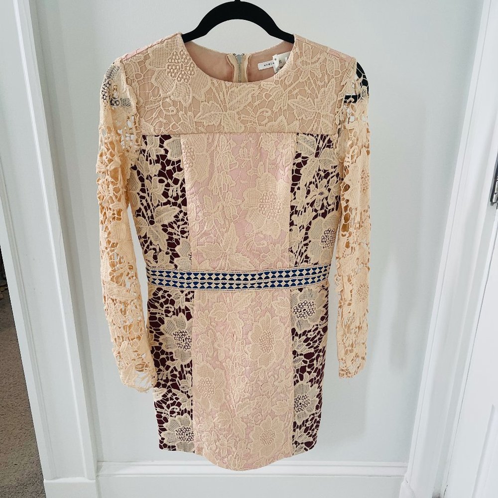 Endless Rose Blush Lace Mini Dress